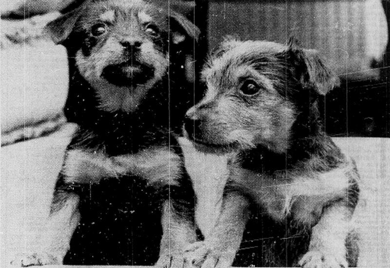 Other image for Glancing Back - December 1990